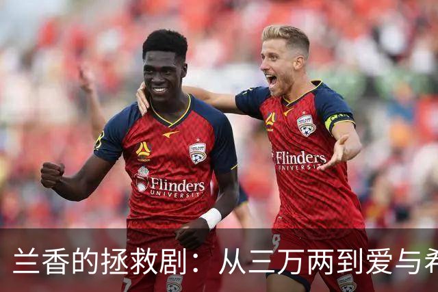兰香的拯救剧：从三万两到爱与希望的旅程