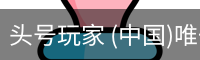 头号玩家 (中国)唯一官方网站